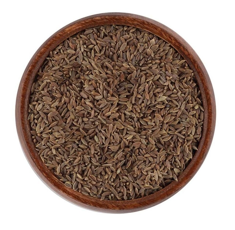 بذور الشبث