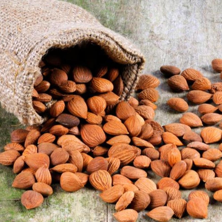 بذور المشمش