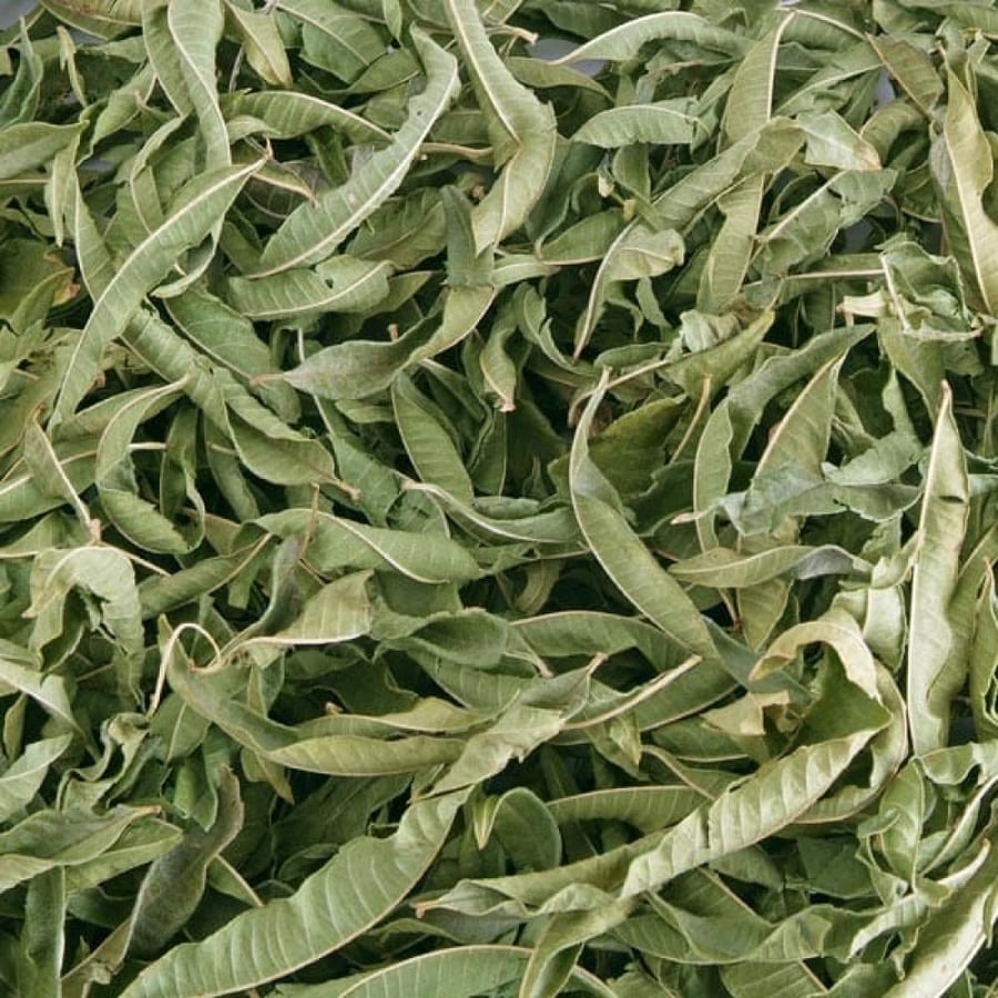 عشبة المليسة