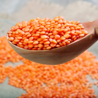 عدس أحمر