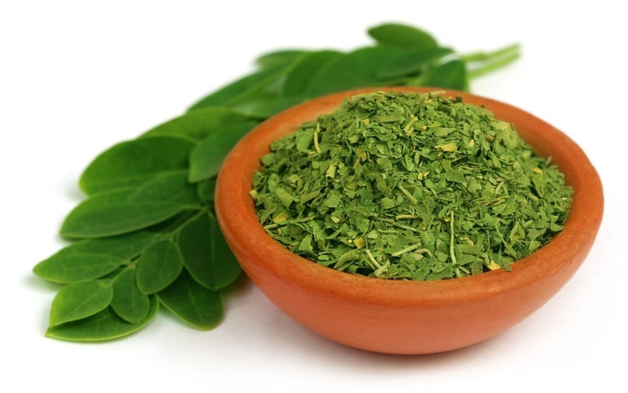 مورينجا ورق