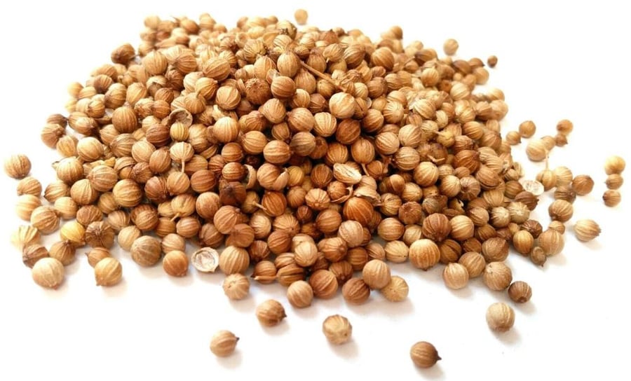 كزبرة حب