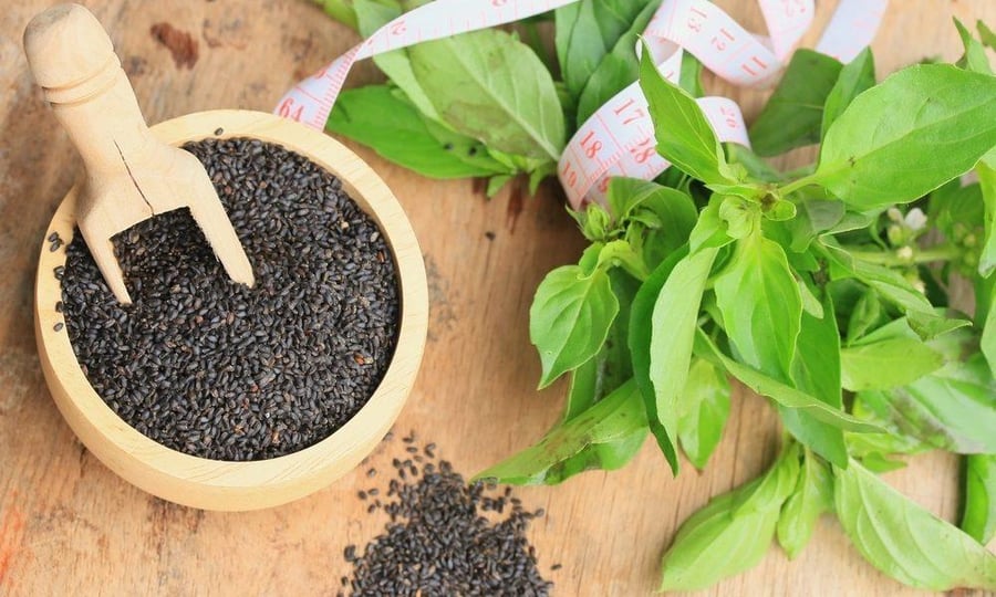 بذور الريحان