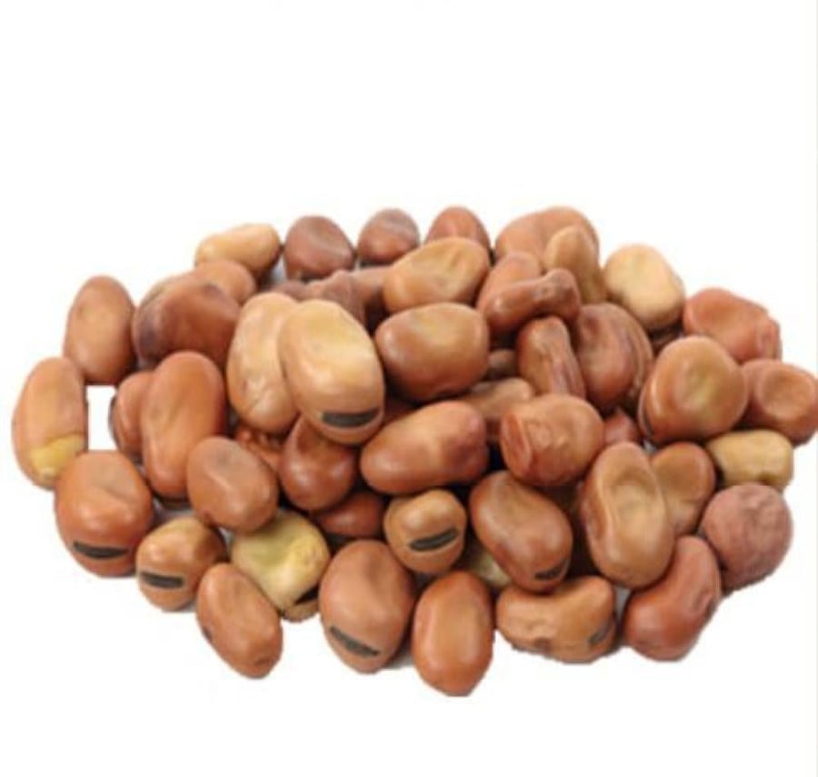 فول مصري حبة صغير