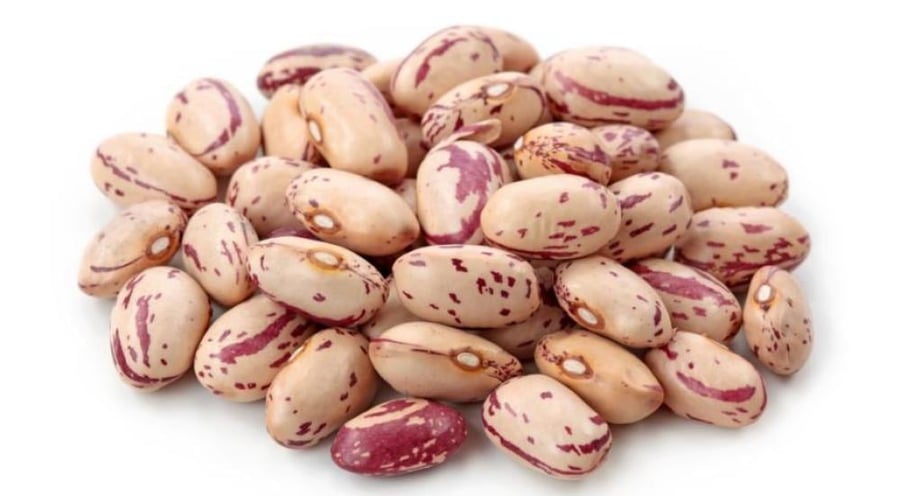 فاصولياء شقراء