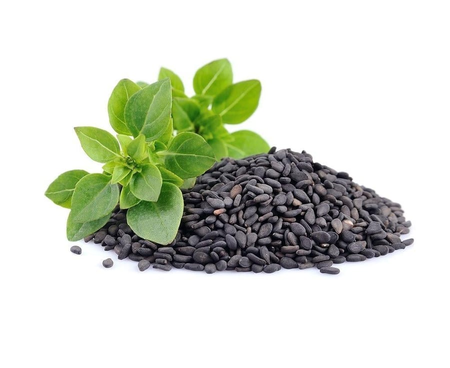 بذور الريحان