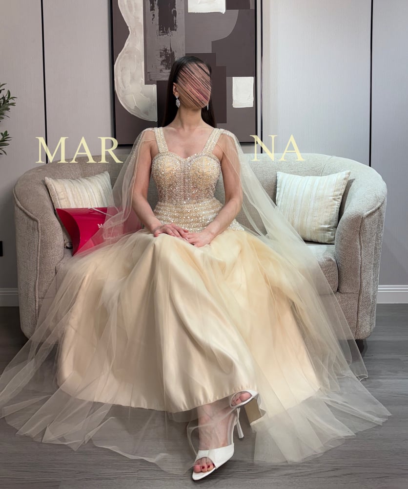 Tuli dress (beige evening dress with embellished bodice and Taiwanese tulle)