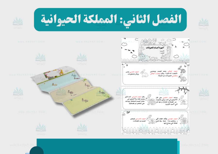 صورة مطوية اجهزة اجسام الحيوانات علوم رابع ابتدايي قابلة للتلوين