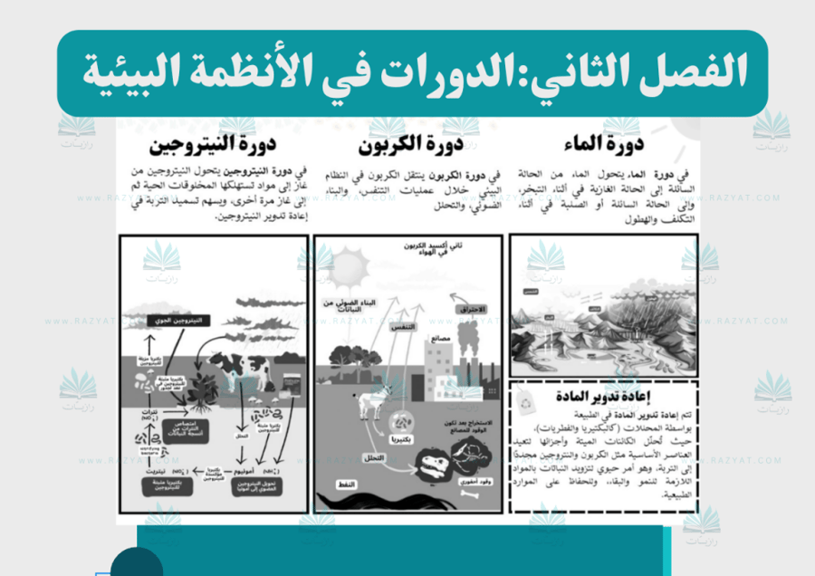معاينة الثانية مطوية الدورات في الانظمة البييية علوم خامس ابتدايي