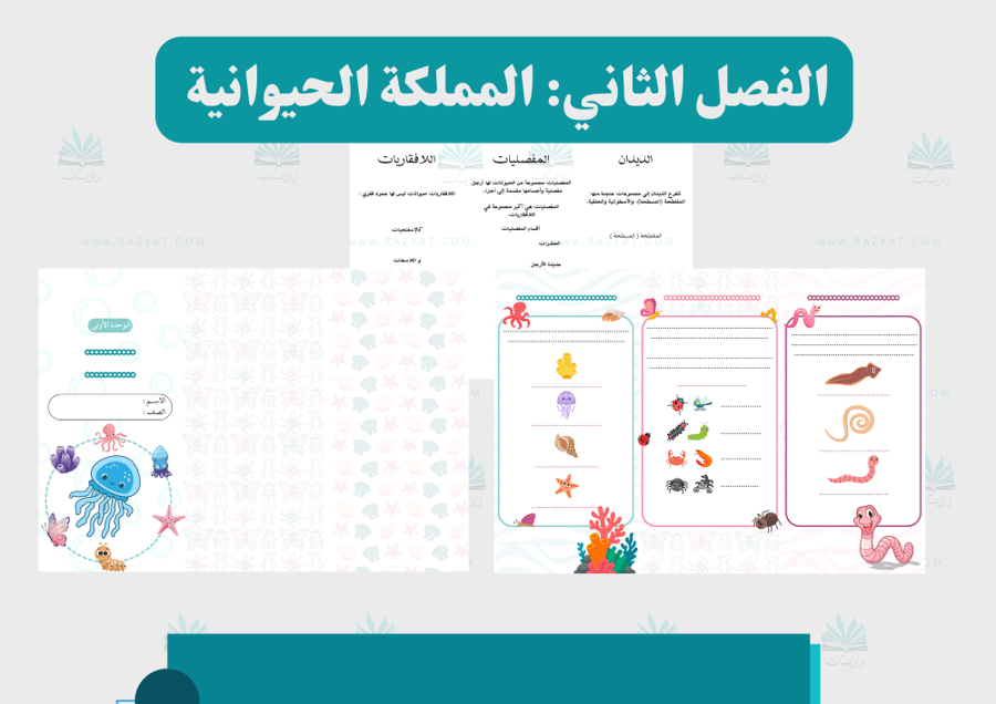 صورة مطوية الحيوانات اللافقارية علوم رابع ابتدايي مفرغة