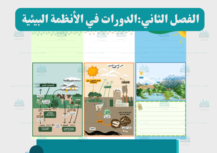 معاينة الثانية مطوية الدورات في الانظمة البييية علوم خامس ابتدايي