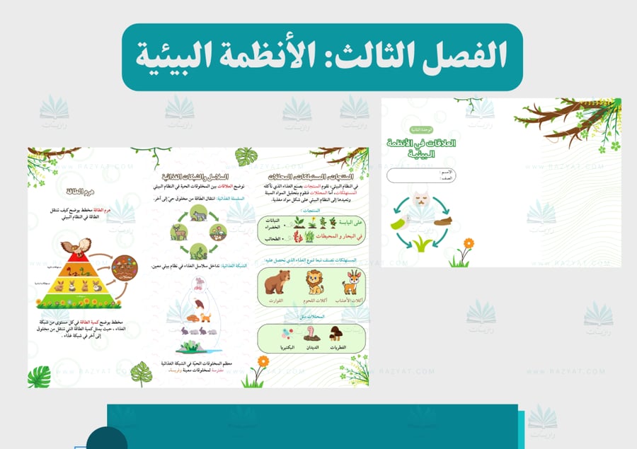 صورة مطوية العلاقات في الانظمة البييية علوم رابع ابتدايي جاهزة للطباعة