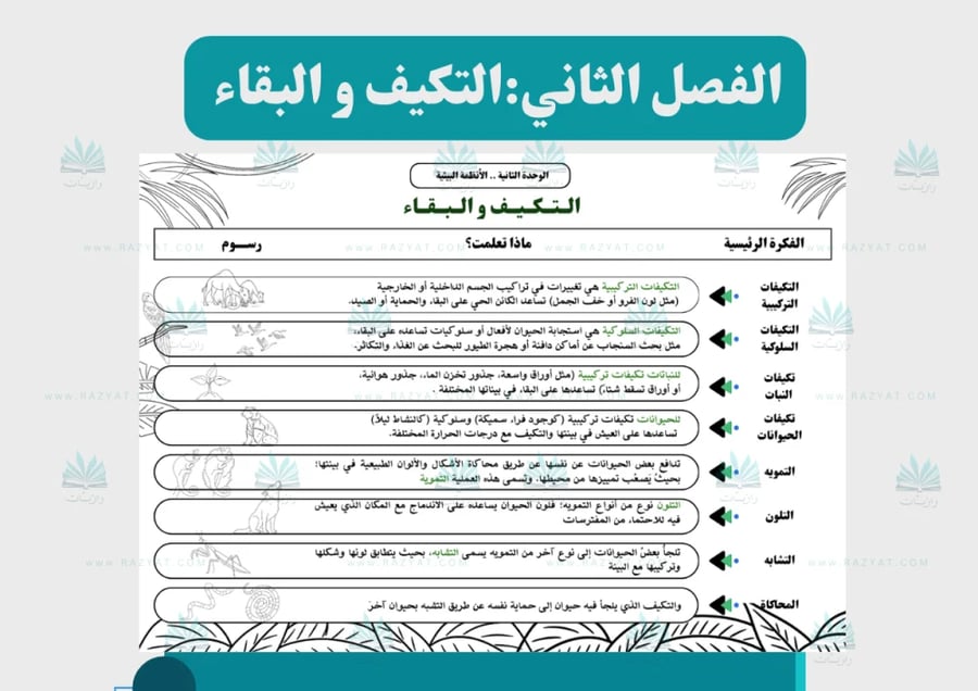 معاينة الثالثة مطوية التكيف و البقاء علوم خامس ابتدايي اقتصادية