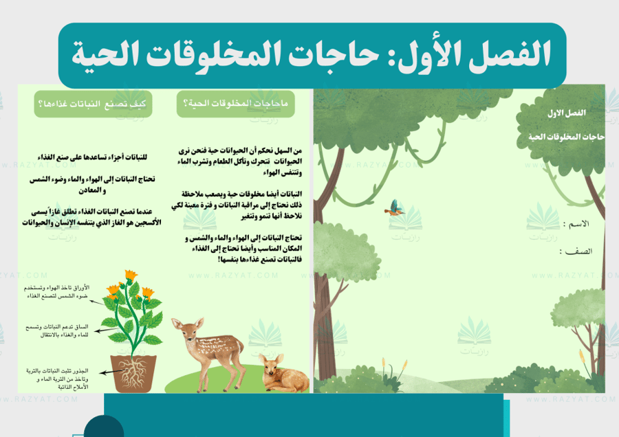 صورة مطوية حاجات المخلوقات الحية علوم ثاني ابتدايي جاهزة للطباعة