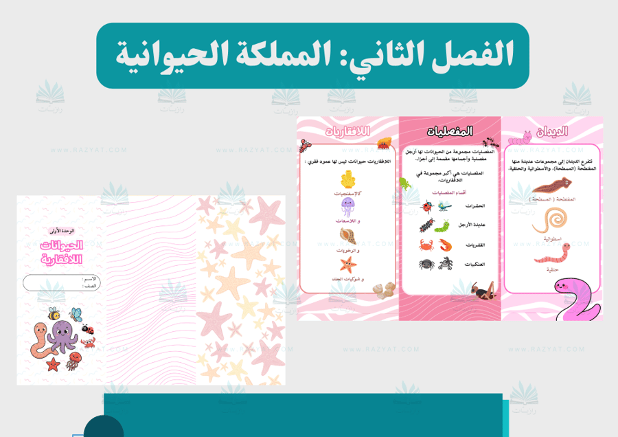 صورة مطوية الحيوانات اللافقارية علوم رابع ابتدايي جاهزة للطباعة