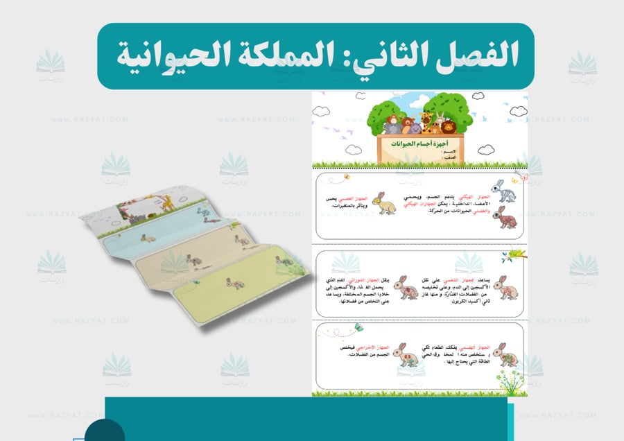 صورة مطوية اجهزة اجسام الحيوانات علوم رابع ابتدايي اقتصادية للطباعة