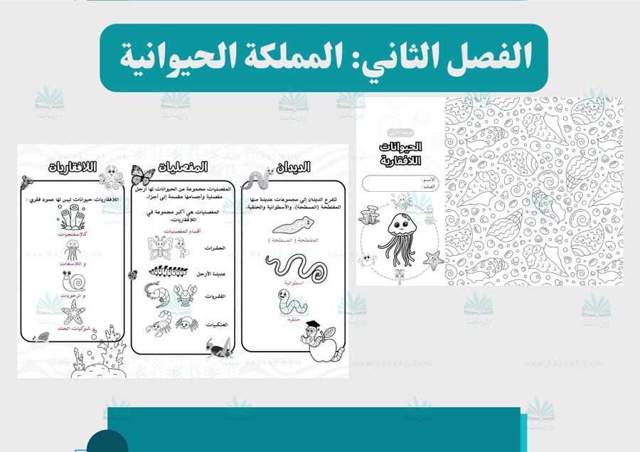 صورة مطوية الحيوانات اللافقارية علوم رابع ابتدايي قابلة للتلوين