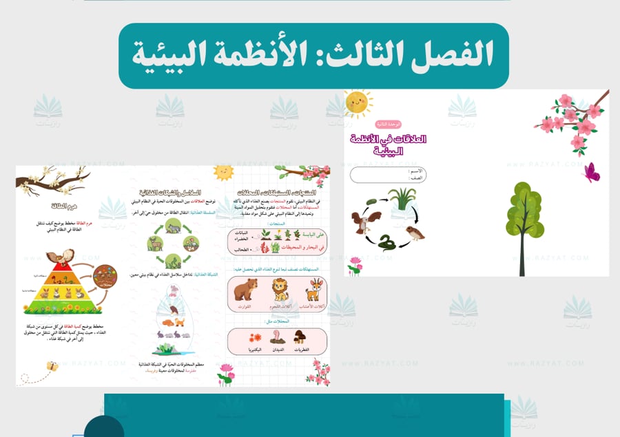 صورة مطوية العلاقات في الانظمة البييية علوم رابع ابتدايي جاهزة للطباعة