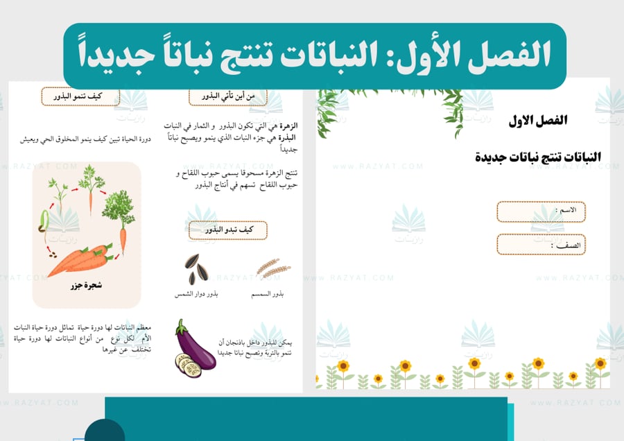 صورة مطوية النباتات تنتج نباتا جديدا اقتصادي علوم ثاني ابتدايي