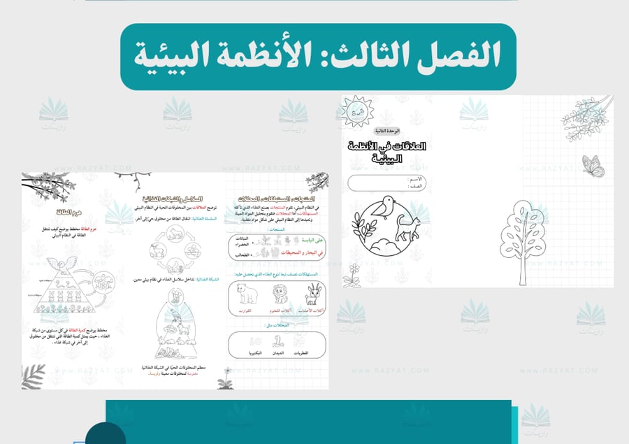 صورة مطوية العلاقات في الانظمة البييية علوم رابع ابتدايي قابلة للتلوين