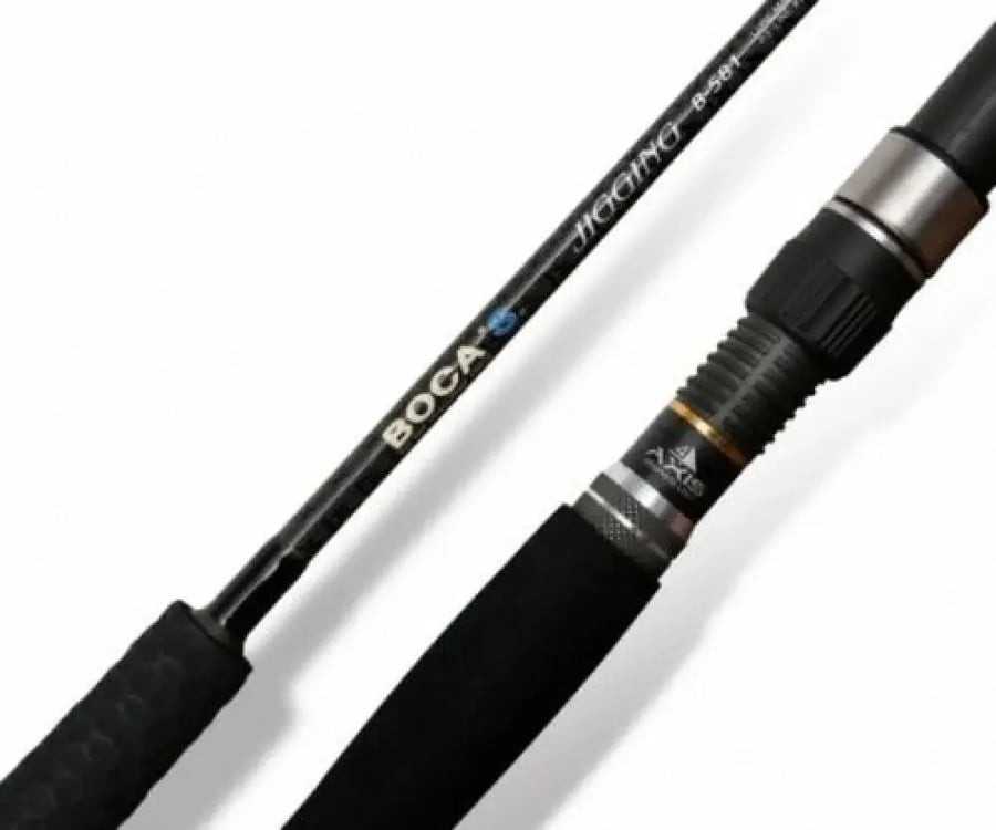 BLACK HOLE BOCA S-541 | قصبة جيجنج بحرية للصيد 300 جم