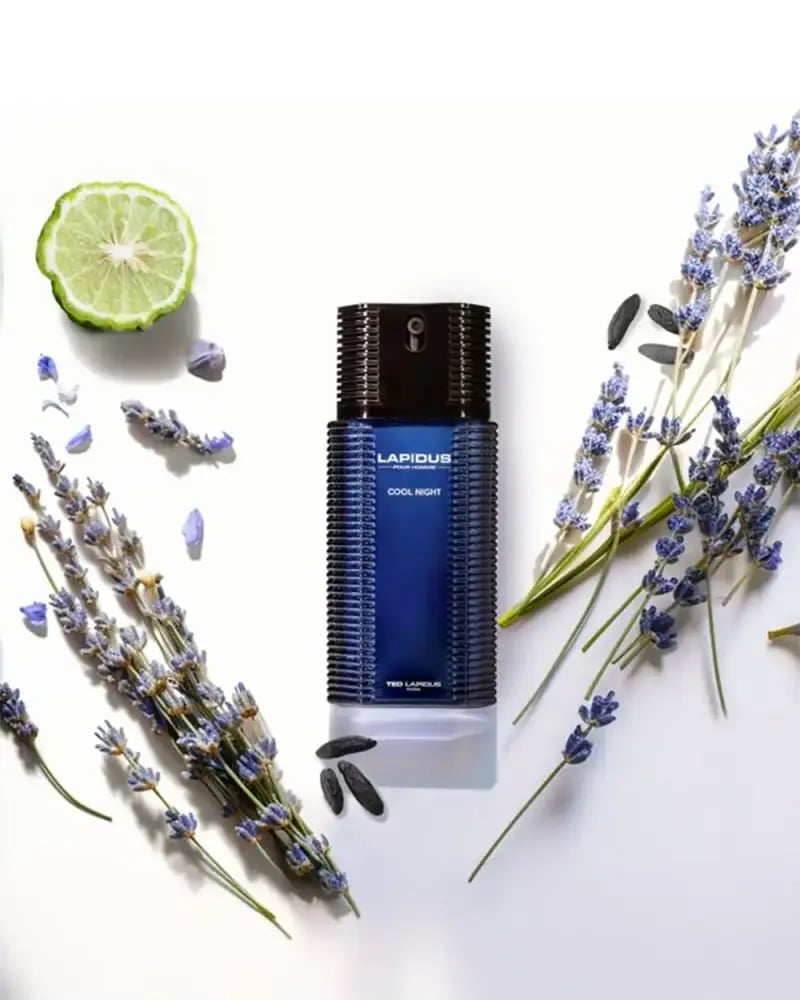 عطر تيد لابيدوس كول نايت او دو بارفيوم 100مل