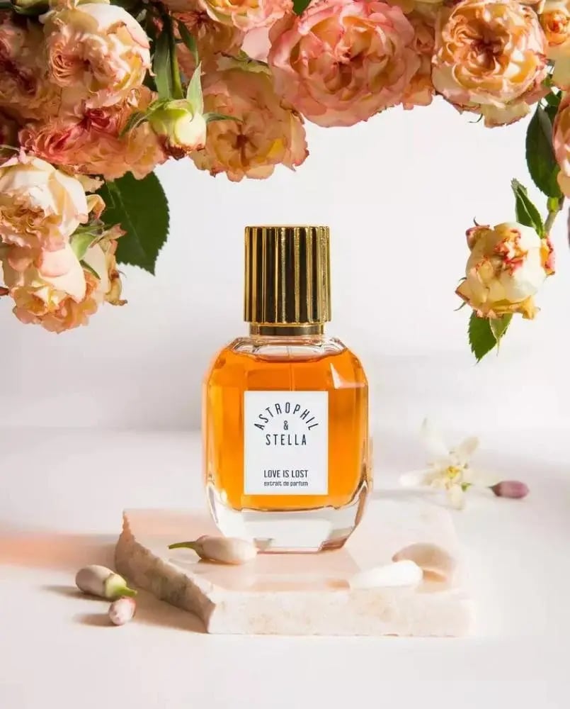 عطر استروفيل اند ستيلا لوف ايز لوست 50 مل Astrophil & Stella LOVE IS LOST