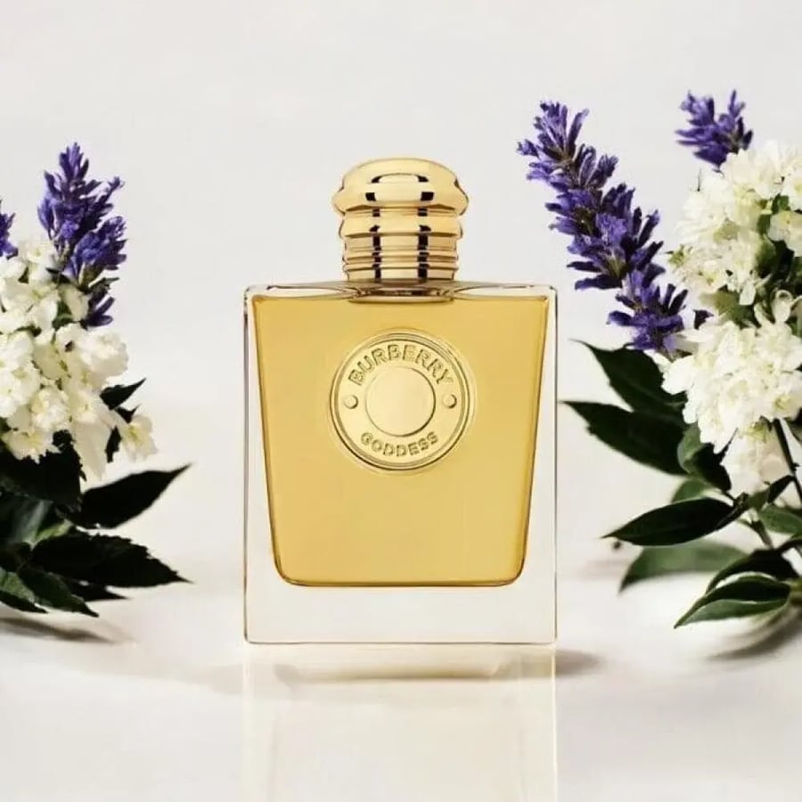 عطر بربري جوديس النسائي او دو بارفيوم انتنس 100مل