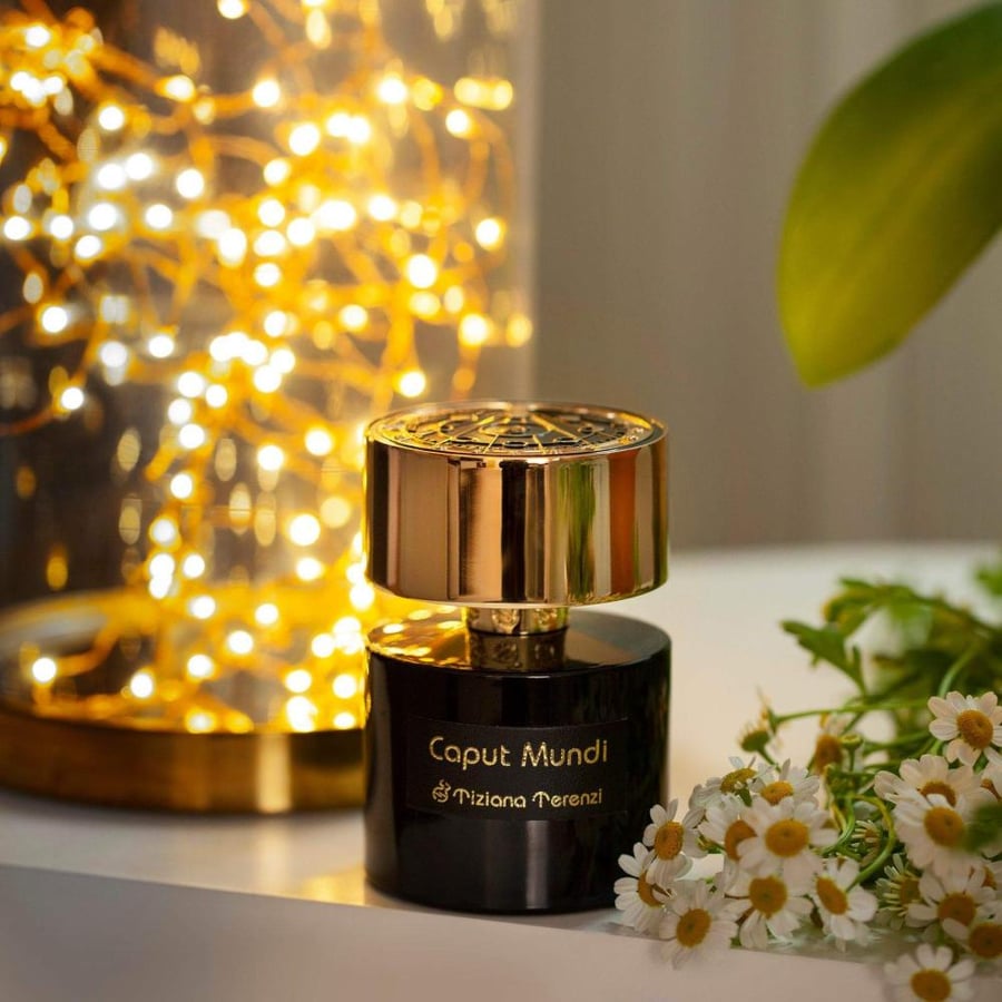 عطر تيزيانا تيرينزي كابوت موندي اكسترايت دو بارفيوم 100مل