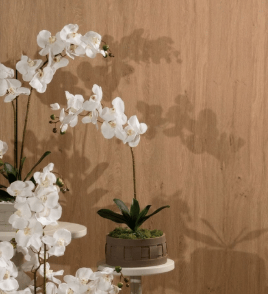 Silk Orchids & Leather