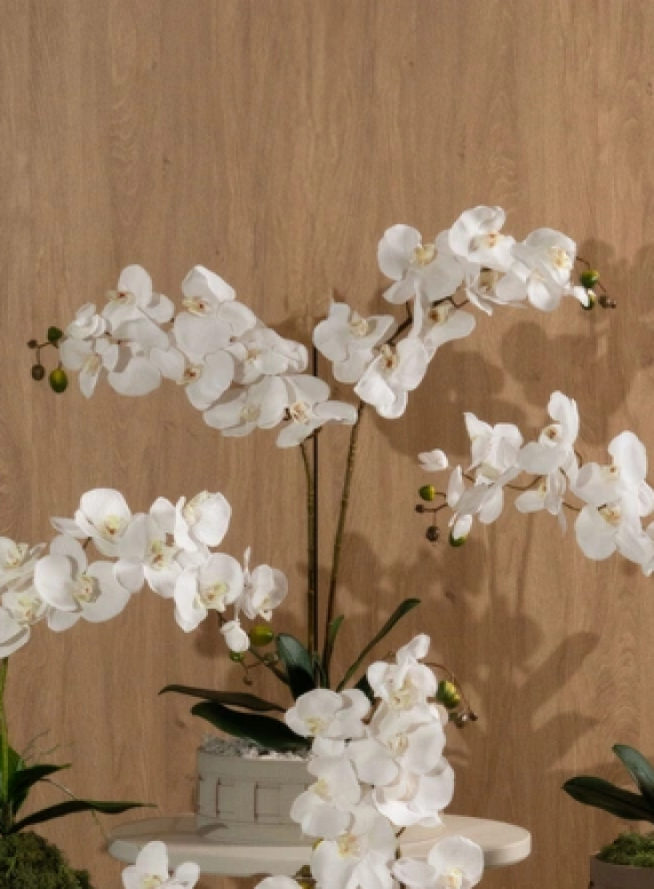 Silk Orchids & Leather