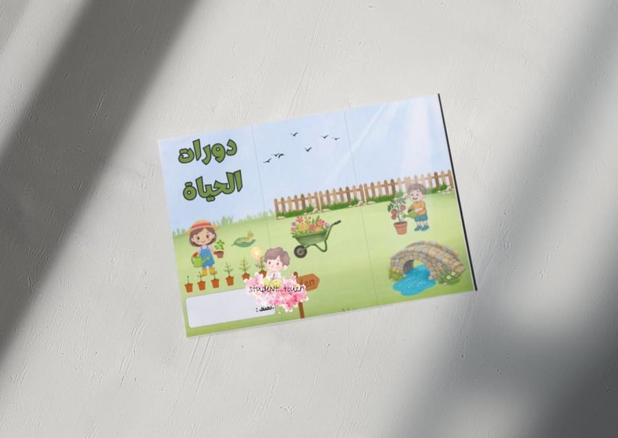 مطوية دورات الحياة