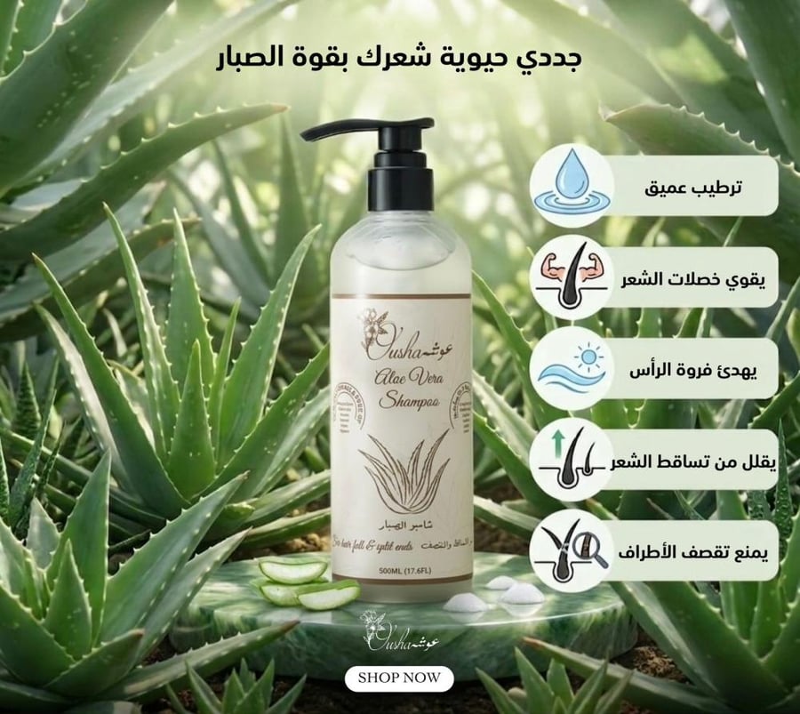 شامبو الصبار - متجر عطار زمان