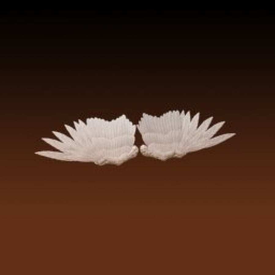 Angel wings