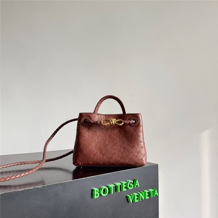 Bottega Veneta mini Andiamo