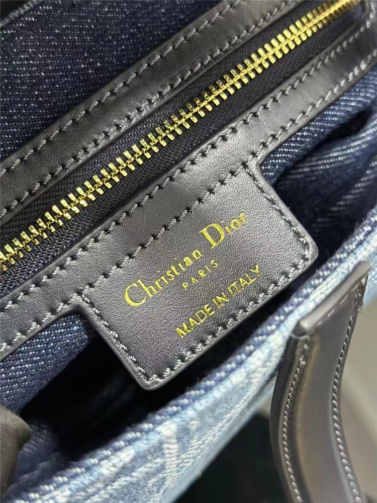 DIOR Saddle Bag