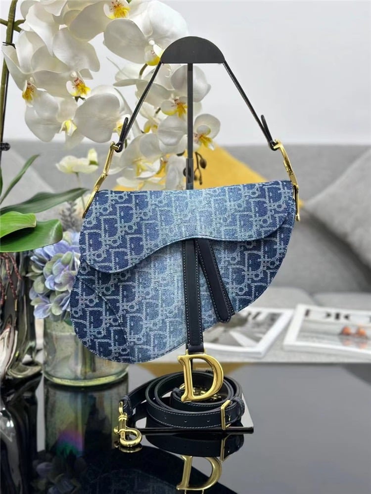 DIOR Saddle Bag