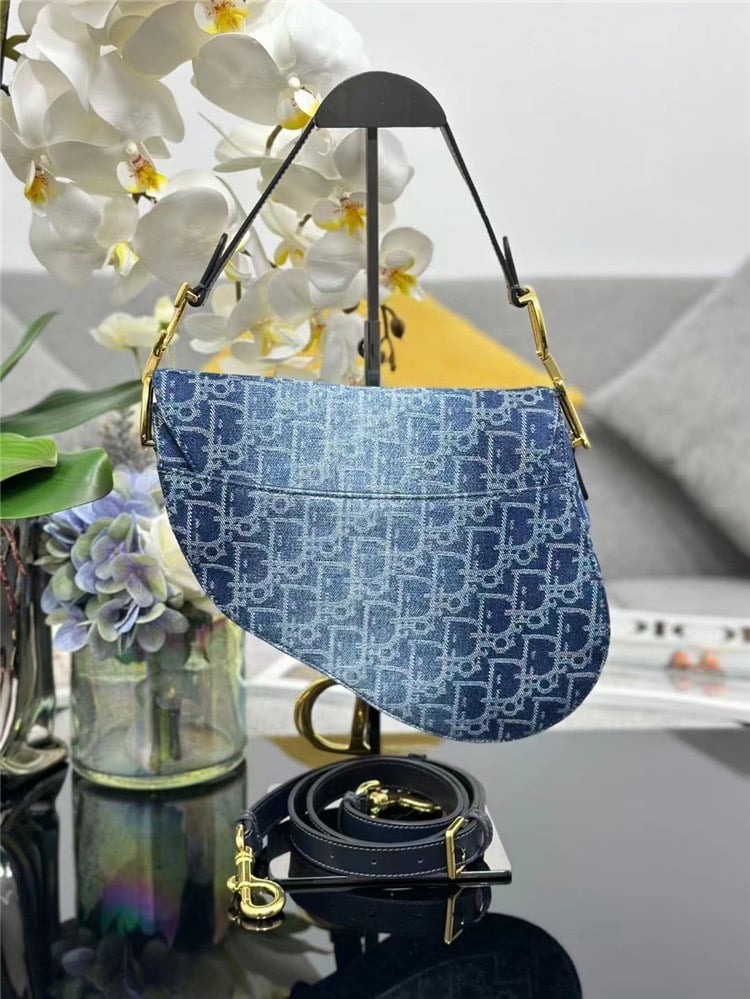 DIOR Saddle Bag