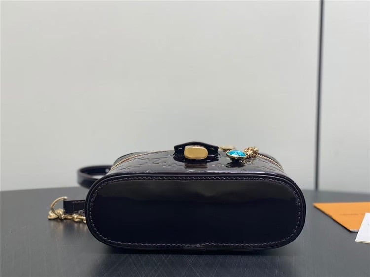 Louis Vuitton Vanity Chain Pouch