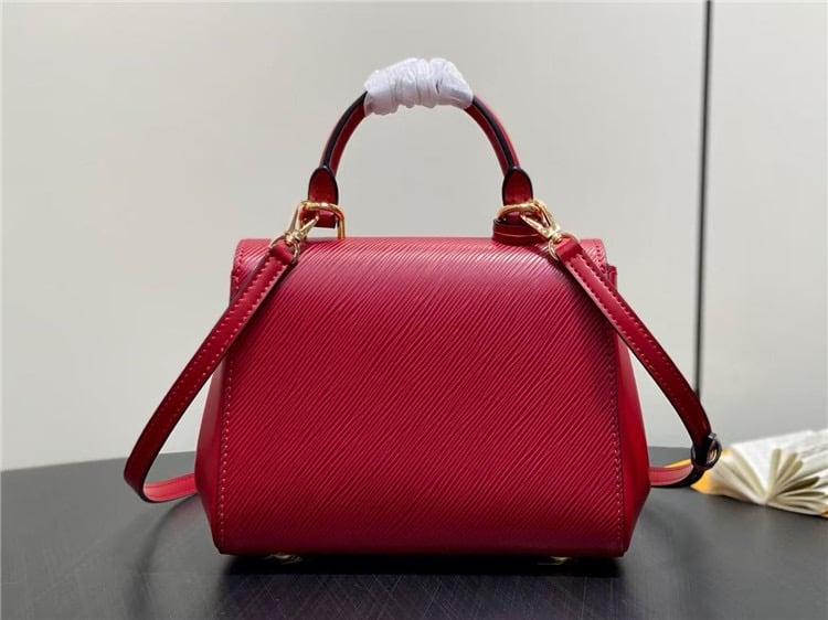 Louis Vuitton Sac Cluny Mini