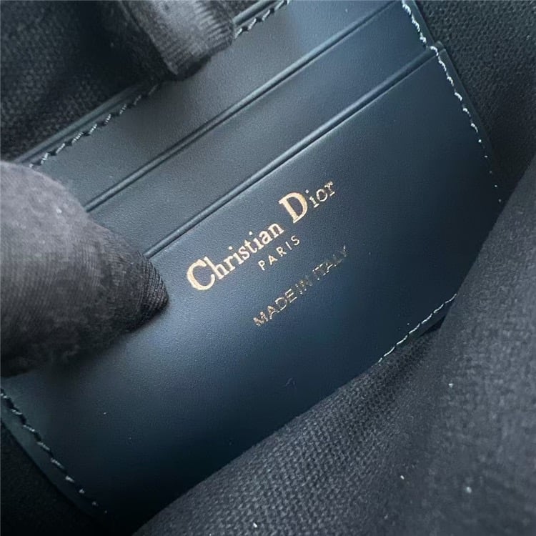 DIOR 30 Montaigne Wanderlust Mini Bag