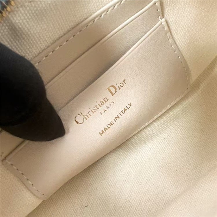 DIOR 30 Montaigne Wanderlust Mini Bag