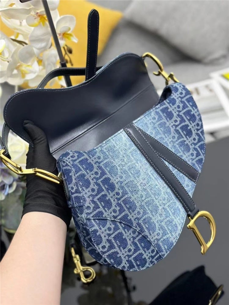 DIOR Saddle Bag