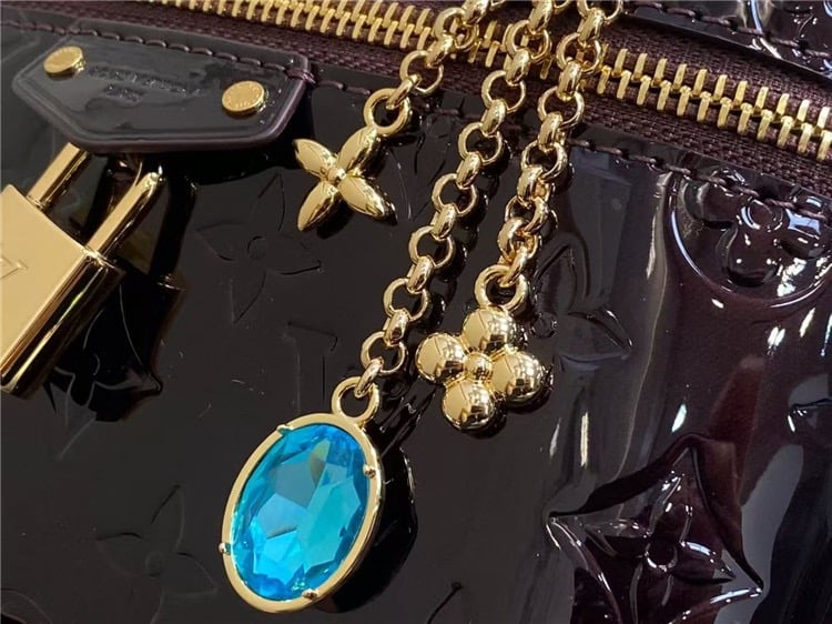 Louis Vuitton Vanity Chain Pouch
