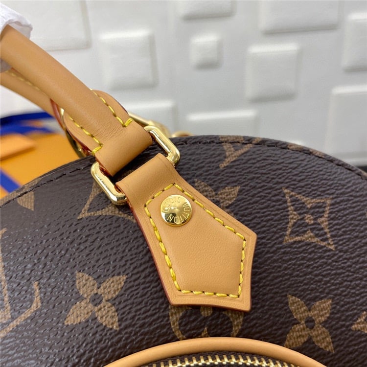 Louis Vuitton Ellipse Pm