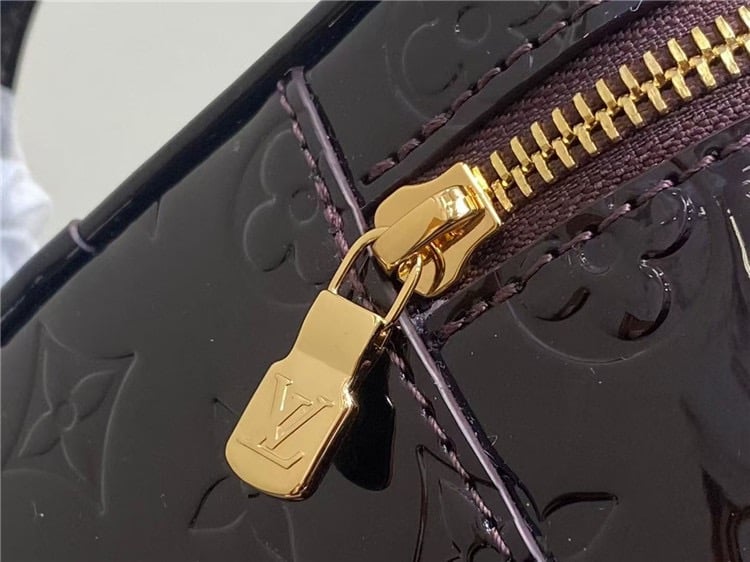 Louis Vuitton Vanity Chain Pouch