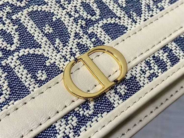 DIOR 30 Montaigne Cigale Pouch with Chain