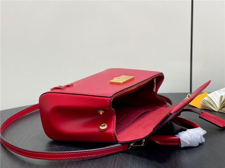 Louis Vuitton Sac Cluny Mini