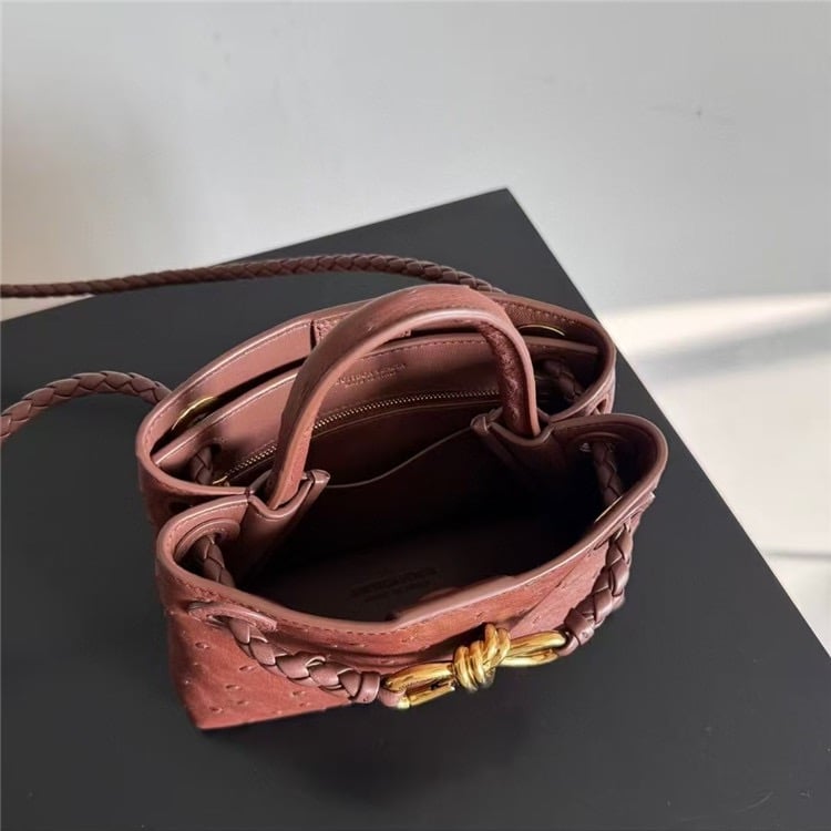 Bottega Veneta mini Andiamo