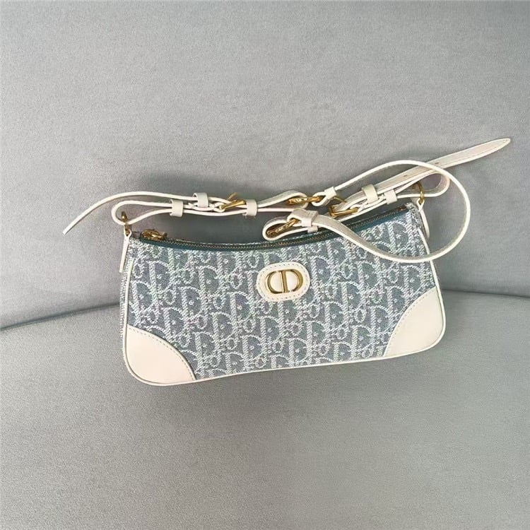 DIOR 30 Montaigne Wanderlust Mini Bag